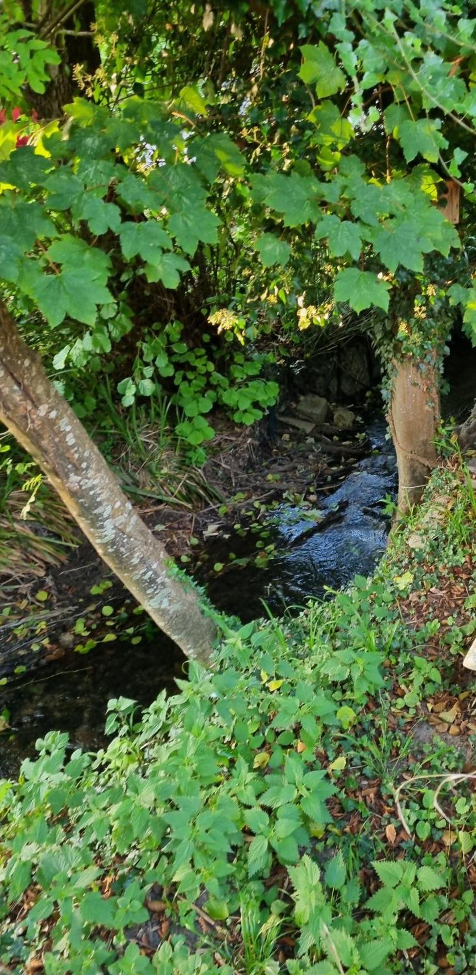 Belle Maison D'Art Verdoyante & Jardin Saint-Remy-les-Chevreuse Exterior foto